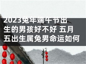 2023兔年端午节出生的男孩好不好 五月五出生属兔男命运如何