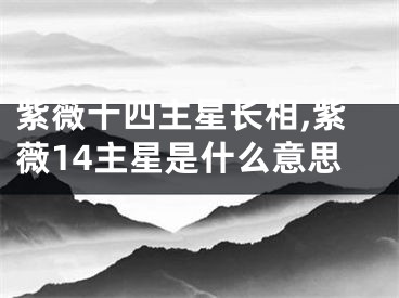 紫薇十四主星长相,紫薇14主星是什么意思