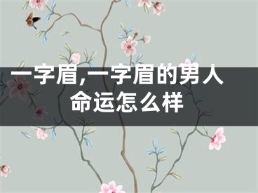 一字眉,一字眉的男人命运怎么样