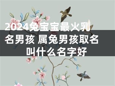 2024兔宝宝最火乳名男孩 属兔男孩取名叫什么名字好