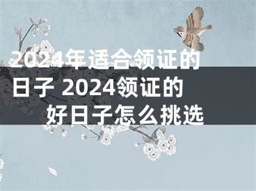 2024年适合领证的日子 2024领证的好日子怎么挑选