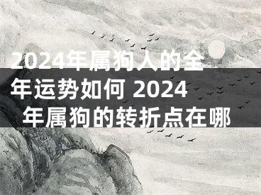 2024年属狗人的全年运势如何 2024年属狗的转折点在哪