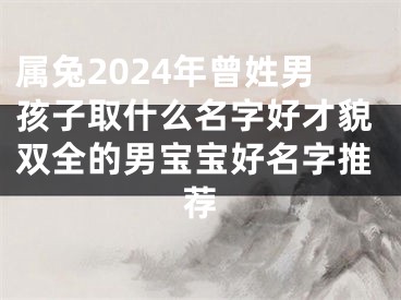 属兔2024年曾姓男孩子取什么名字好才貌双全的男宝宝好名字推荐