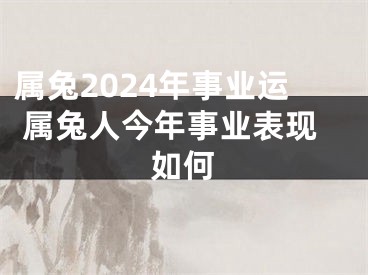 属兔2024年事业运 属兔人今年事业表现如何