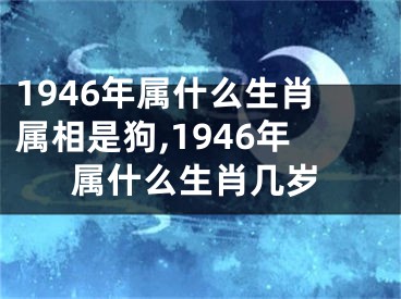 1946年属什么生肖属相是狗,1946年属什么生肖几岁