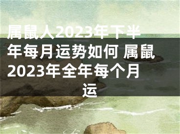 属鼠人2023年下半年每月运势如何 属鼠2023年全年每个月运
