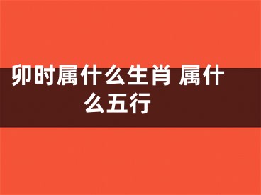 卯时属什么生肖 属什么五行 