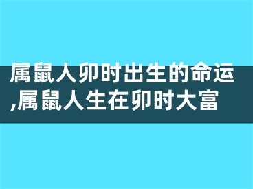 属鼠人卯时出生的命运,属鼠人生在卯时大富