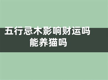 五行忌木影响财运吗 能养猫吗 