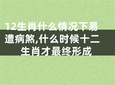 12生肖什么情况下易遭病煞,什么时候十二生肖才最终形成