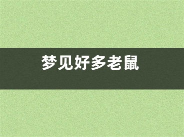 梦见好多老鼠