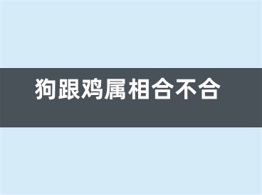 狗跟鸡属相合不合