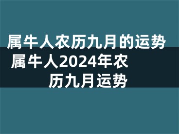 属牛人农历九月的运势 属牛人2024年农历九月运势