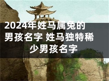 2024年姓马属兔的男孩名字 姓马独特稀少男孩名字