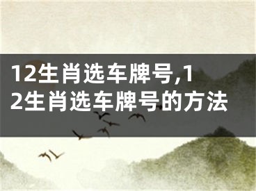 12生肖选车牌号,12生肖选车牌号的方法