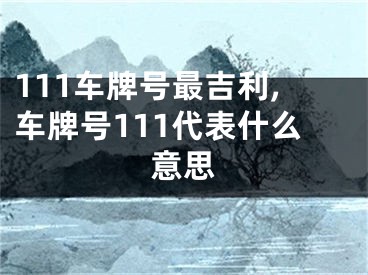 111车牌号最吉利,车牌号111代表什么意思