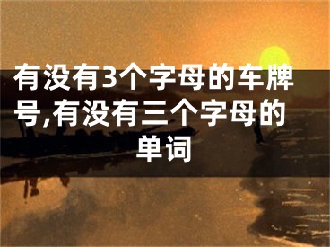 有没有3个字母的车牌号,有没有三个字母的单词
