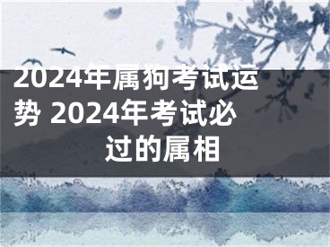 2024年属狗考试运势 2024年考试必过的属相