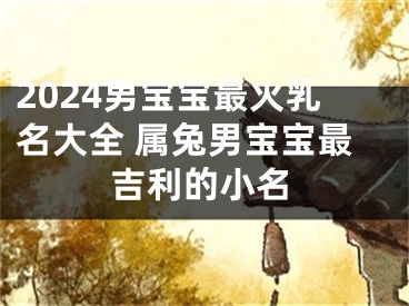 2024男宝宝最火乳名大全 属兔男宝宝最吉利的小名