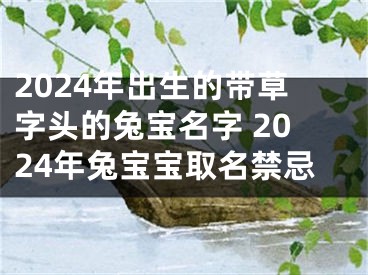 2024年出生的带草字头的兔宝名字 2024年兔宝宝取名禁忌