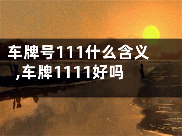 车牌号111什么含义,车牌1111好吗