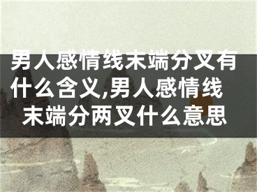 男人感情线末端分叉有什么含义,男人感情线末端分两叉什么意思