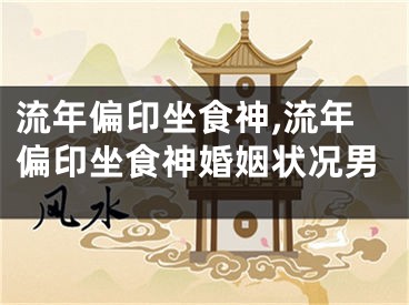 流年偏印坐食神,流年偏印坐食神婚姻状况男
