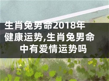 生肖兔男命2018年健康运势,生肖兔男命中有爱情运势吗