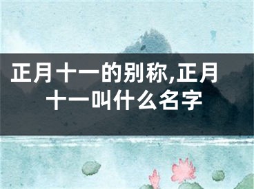 正月十一的别称,正月十一叫什么名字