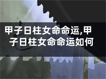 甲子日柱女命命运,甲子日柱女命命运如何