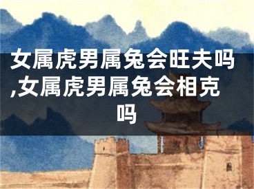 女属虎男属兔会旺夫吗,女属虎男属兔会相克吗