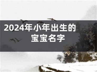 2024年小年出生的宝宝名字