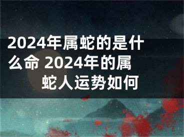 2024年属蛇的是什么命 2024年的属蛇人运势如何