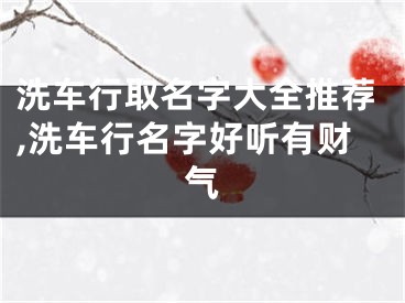 洗车行取名字大全推荐,洗车行名字好听有财气