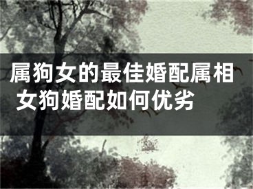 属狗女的最佳婚配属相 女狗婚配如何优劣 