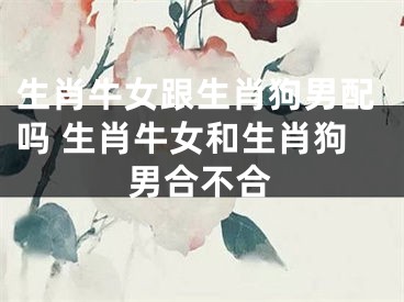 生肖牛女跟生肖狗男配吗 生肖牛女和生肖狗男合不合
