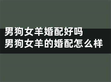 男狗女羊婚配好吗  男狗女羊的婚配怎么样