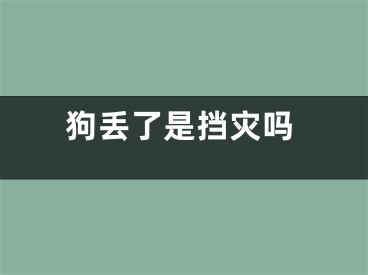 狗丢了是挡灾吗