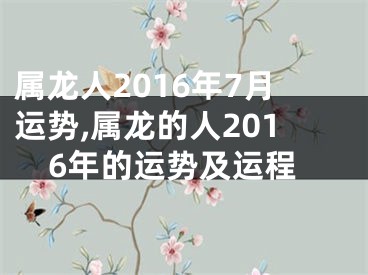 属龙人2016年7月运势,属龙的人2016年的运势及运程