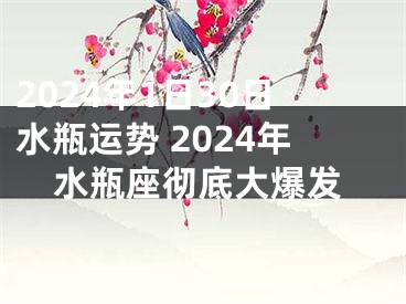 2024年1日30日水瓶运势 2024年水瓶座彻底大爆发