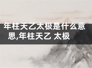 年柱天乙太极是什么意思,年柱天乙 太极