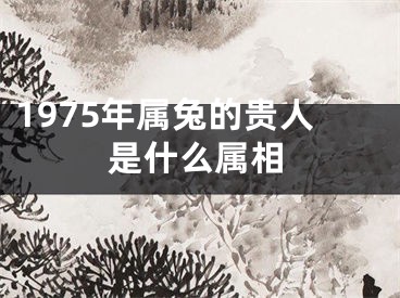 1975年属兔的贵人是什么属相