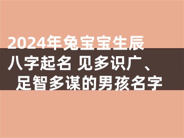2024年兔宝宝生辰八字起名 见多识广、足智多谋的男孩名字