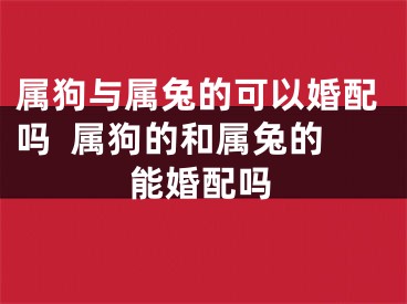 属狗与属兔的可以婚配吗  属狗的和属兔的能婚配吗