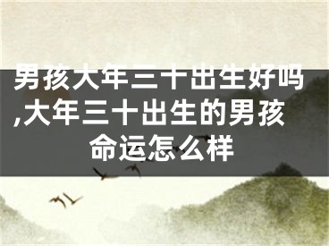 男孩大年三十出生好吗,大年三十出生的男孩命运怎么样