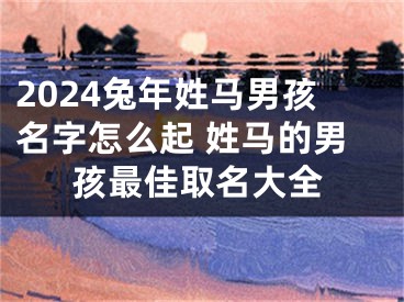 2024兔年姓马男孩名字怎么起 姓马的男孩最佳取名大全