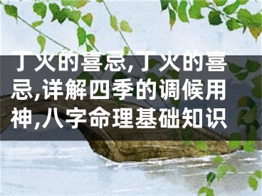 丁火的喜忌,丁火的喜忌,详解四季的调候用神,八字命理基础知识