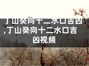 丁山癸向十二水口吉凶,丁山癸向十二水口吉凶视频