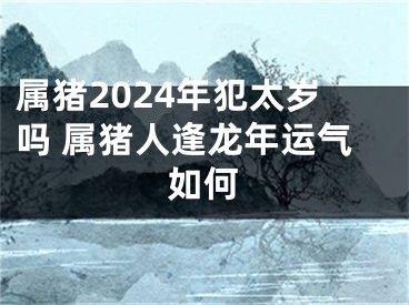 属猪2024年犯太岁吗 属猪人逢龙年运气如何