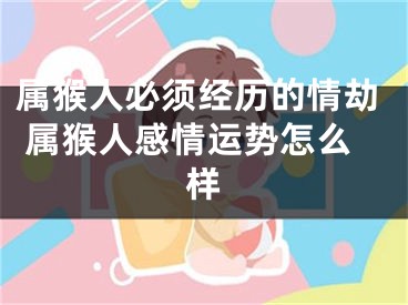 属猴人必须经历的情劫 属猴人感情运势怎么样